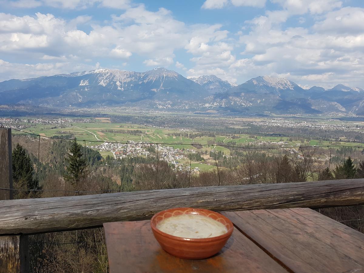 Koca Na Talezu Bed & Breakfast Ribno Exterior photo
